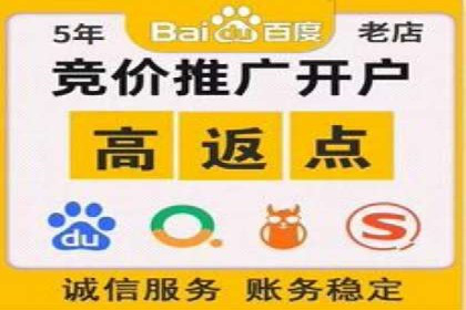 百度推广运营实战：成功案例解析